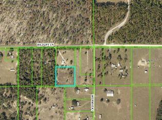 28384 Wildlife Ln, Brooksville, FL 34602