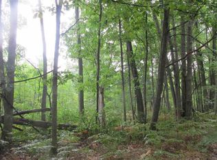 0 W Gaukel Rd, Lake City, MI 49651