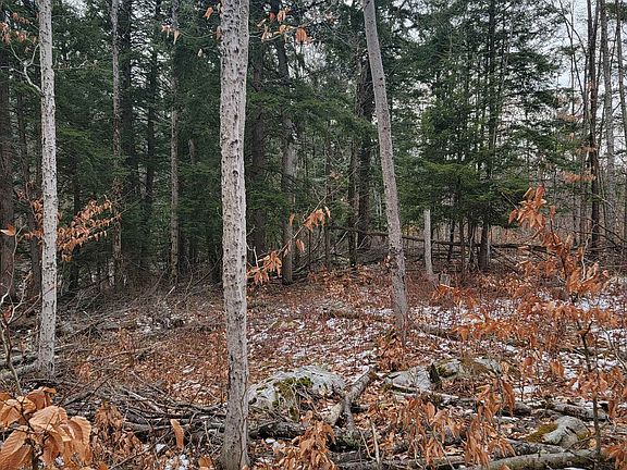 4th image of 80 Crossover Road