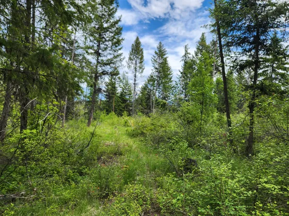 318 Rockabye Ln, Curlew, WA 99118