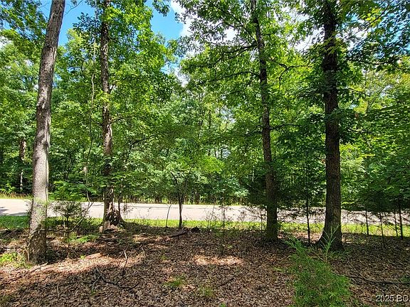 4th image of 1240 Spring Creek Dr