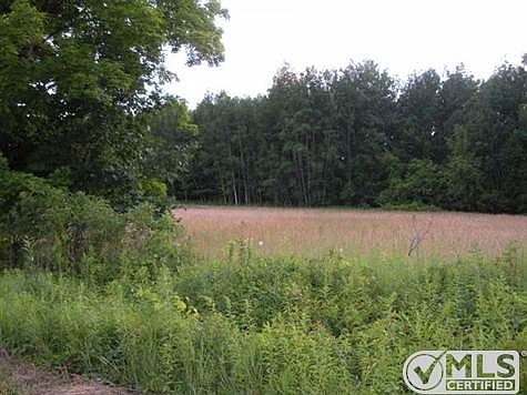 Spelt field draw in the deer