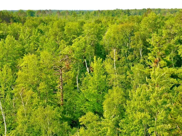 35596 Outback Trl, Sandstone, MN 55072