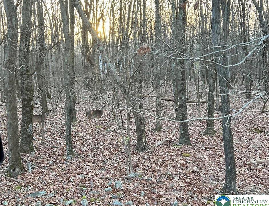 1st image of 36 Occoquan Trl