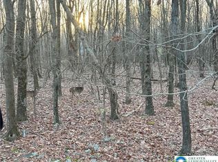 121 Piute Trl #Cp1002, Albrightsville, PA