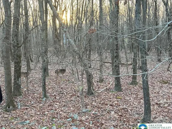 121 Piute Trl #Cp1002, Albrightsville, PA 18210