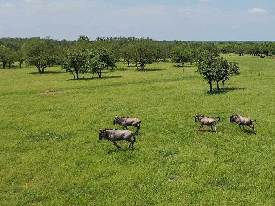1st image of 9131 County Road 3477