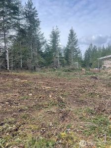 0 Island Lake Drive, Shelton, WA, 98584