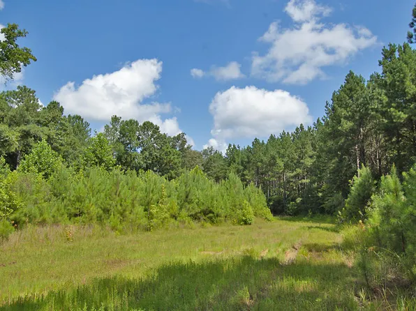 0 Buckhorn Rd #1, Bullock, NC 27507