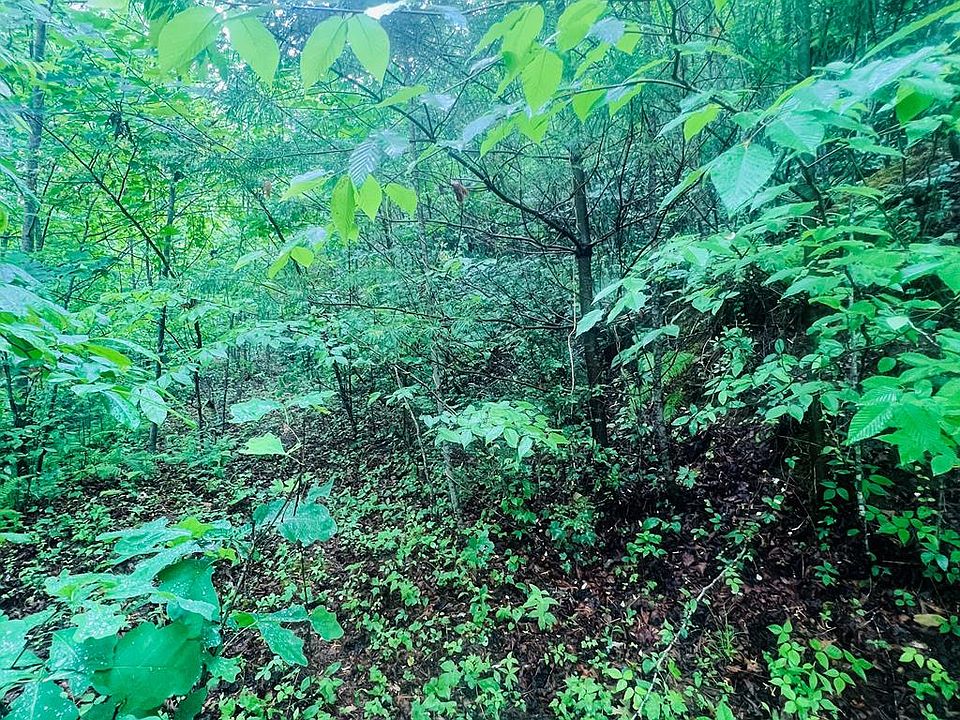 1st image of 0 Owl Creek Rd