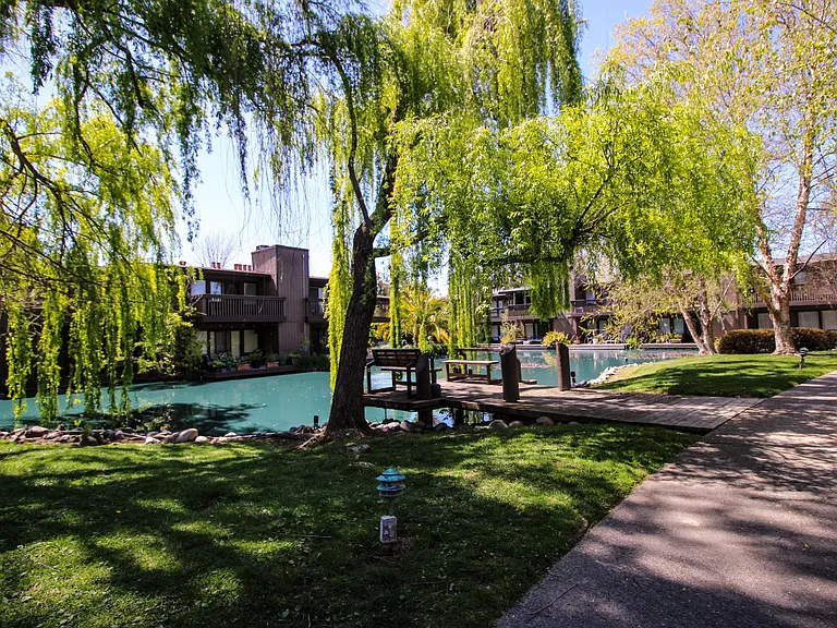 2408 Larkspur Ln #247 — Photo 21