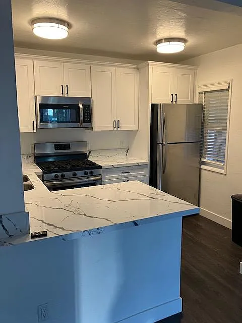 Studio, 495 sqft, $1,895 — Photo 2