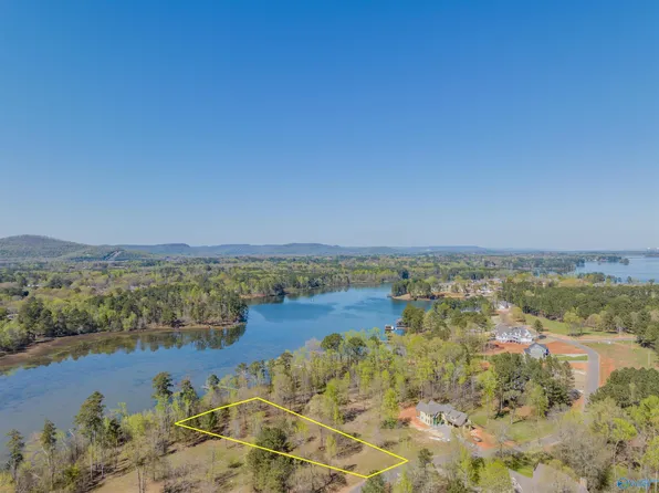 20 Goosepond Island Dr, Scottsboro, AL 35769