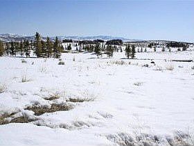 5th image of 7208 Lupine Dr