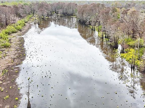 2nd image of Cat Island Rd