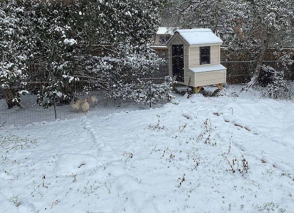1st image of 442 Sharon Dr