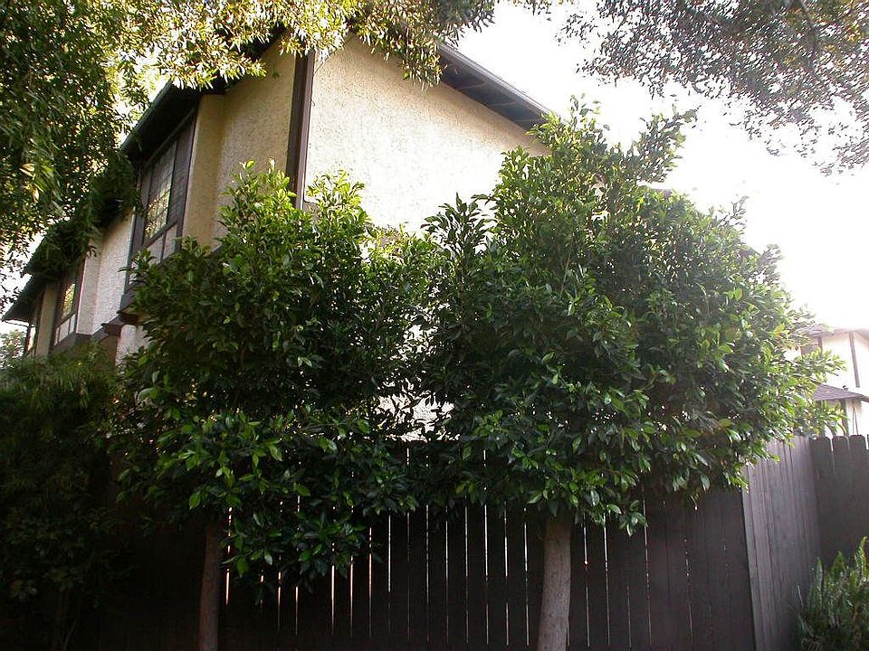 Front & Side of House