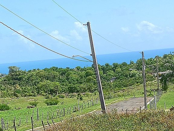 View from the lot