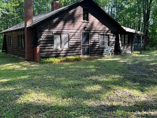 6380 Shellenbarger Rd, Hale, MI 48739