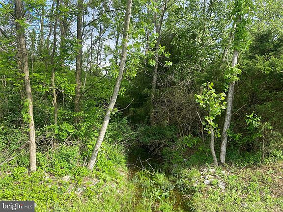 4th image of LOT 16 Tavistock Dr
