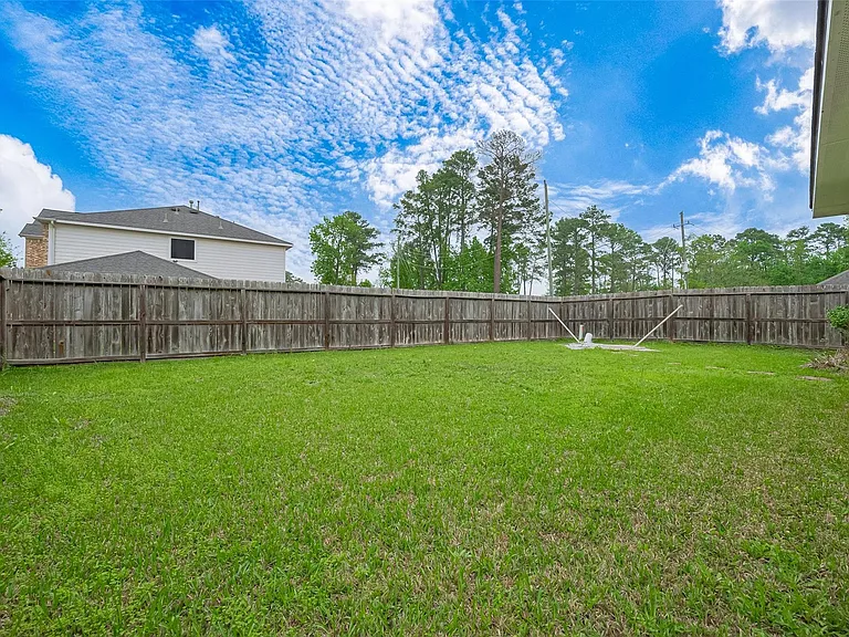 1007 Casting Springs Way — Photo 43