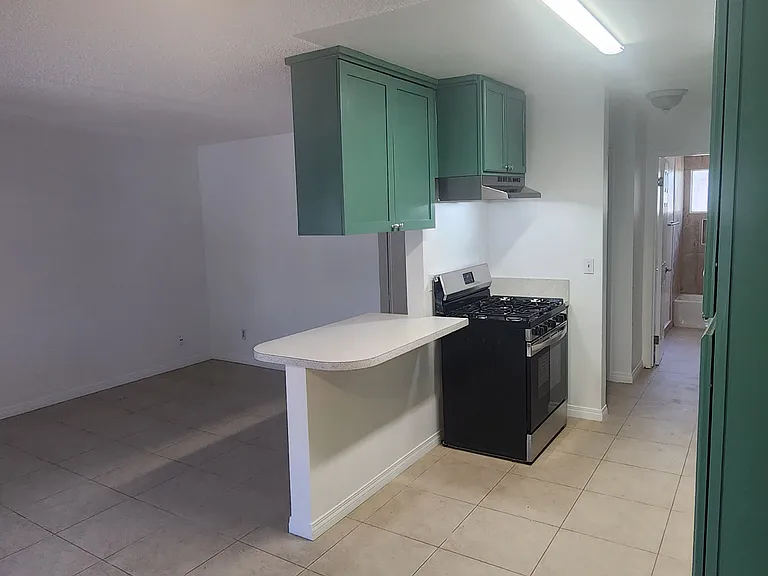 263 E Vermont Ave — Photo 3