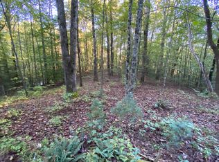 86 Deer Run Trl #2, Ellijay, GA 30540