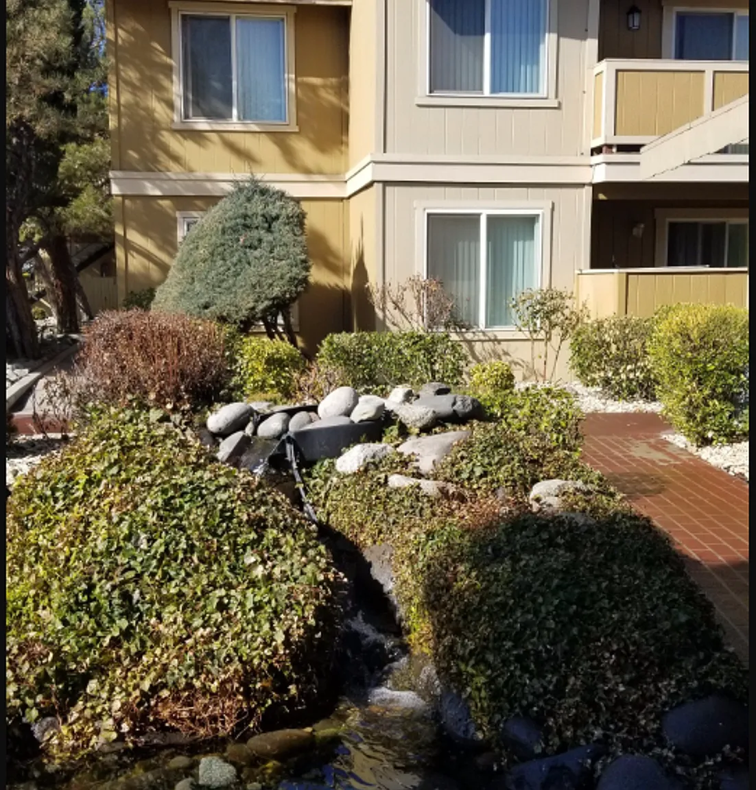 Sierra Woods — Photo 1