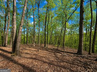 0 Burnt Mountain Rd, Jasper, GA 30143