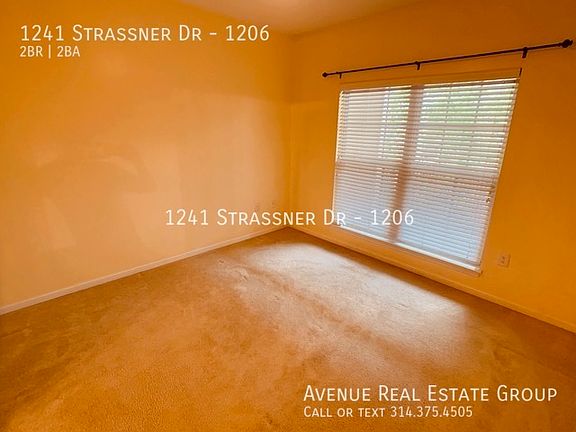 4th image of 1241 Strassner Dr APT 1206