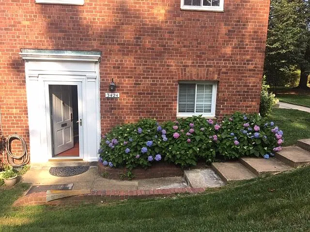 3424 Martha Custis Dr — Photo 3