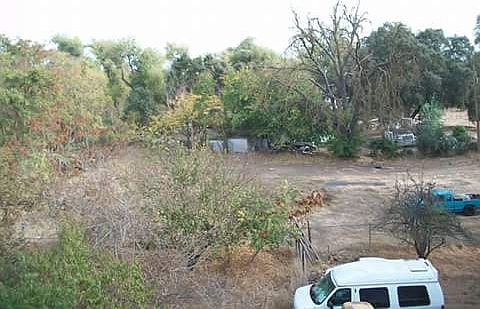 View looking NE from roof.