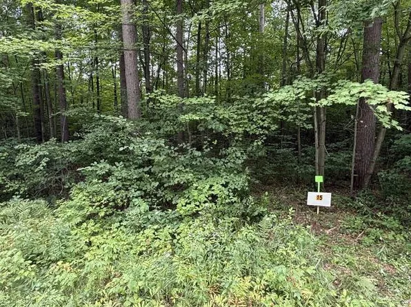 Lot 15 BURMA ROAD, Mosinee, WI 54455