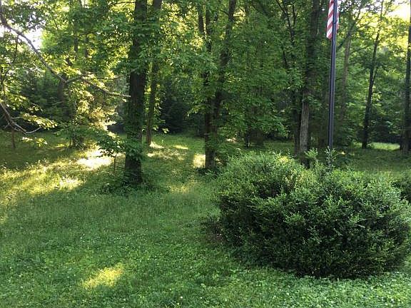 2nd image of 319 Woods Creek Dr