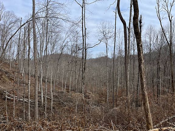 4th image of 3718 Barnetts Creek Rd