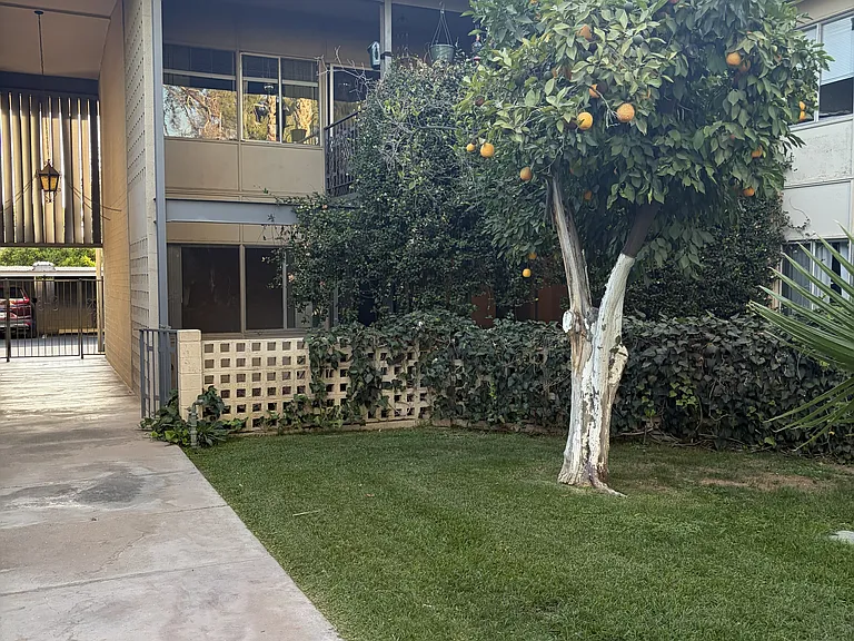 The Hibiscus Biltmore Apartments — Photo 32