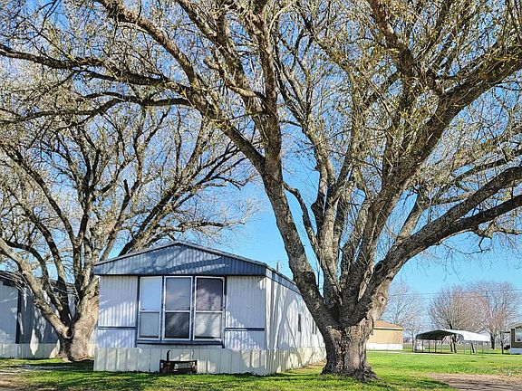 Mature shade trees