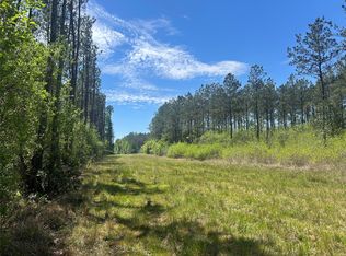 LOT 39 Carter Ranch Rd Lot 39, Kountze, TX 77625