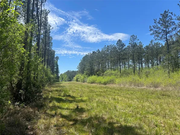 LOT 39 Carter Ranch Rd Lot 39, Kountze, TX 77625