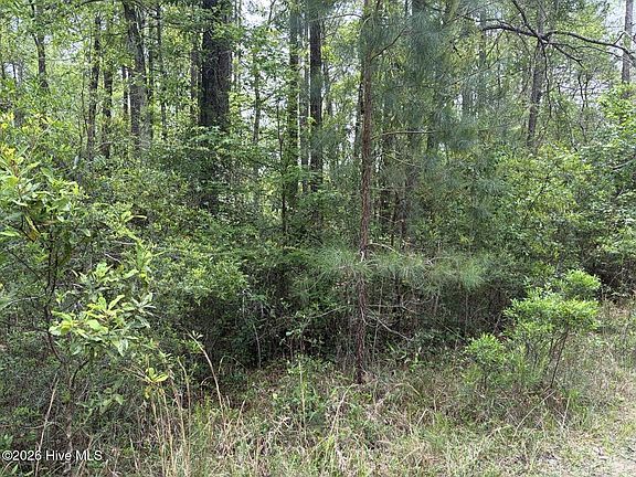 4th image of L 113 Chimney Swift Lane SE LOT 13