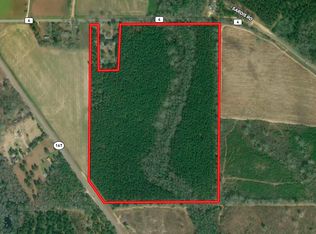 E County Road 4, Hartford, AL 36344