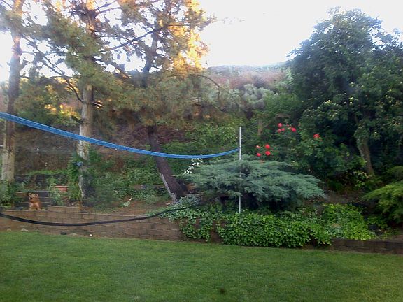 Backyard view from Family Room