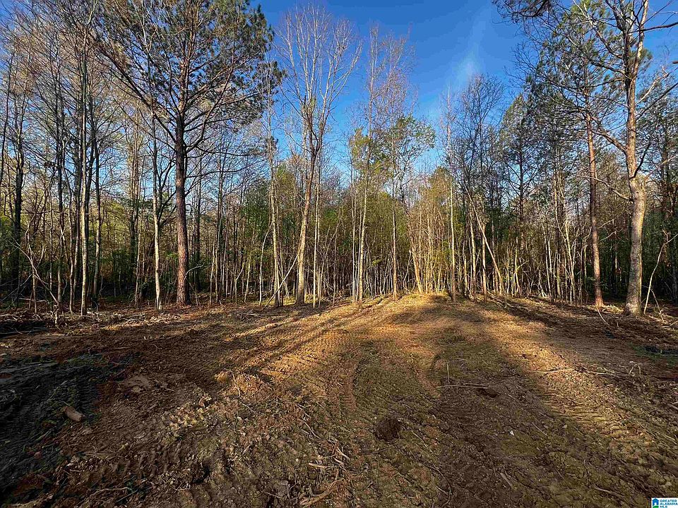 2nd image of 0 Francis Mill Rd Tract 1