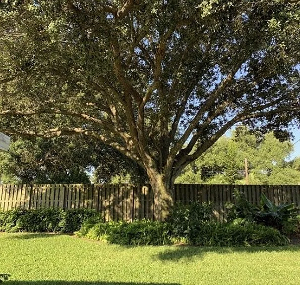 21174 Butchers Holler — Photo 4