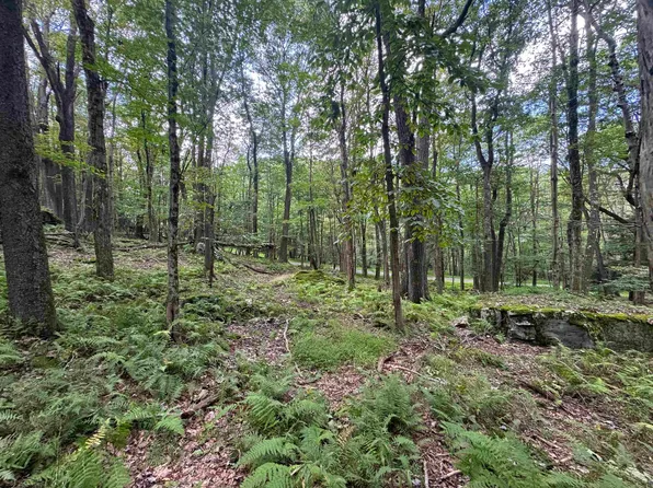 Lots 65 & 66 Gentian Ct, Terra Alta, WV 26764