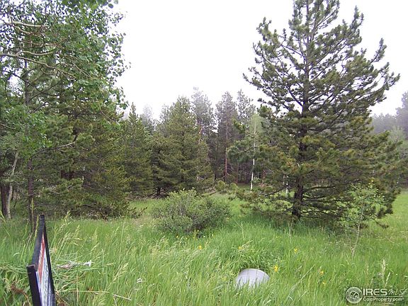 2nd image of 167 Jed Smith Rd