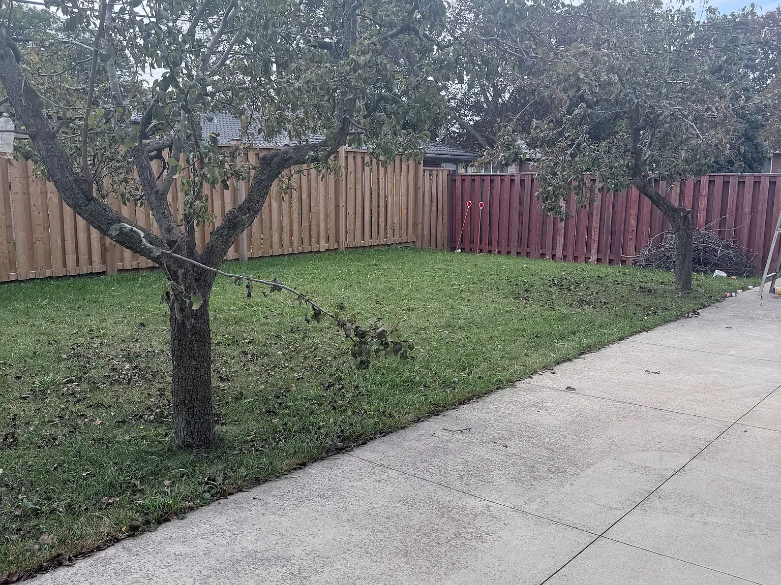 2 bed, $2,200 — Photo 4