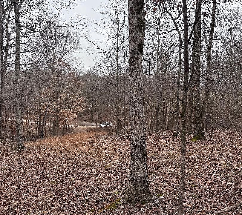 2nd image of 0 Old State Highway 13