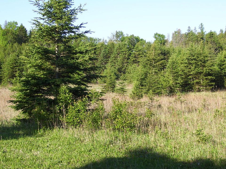 2nd image of 3315 Nye Rd