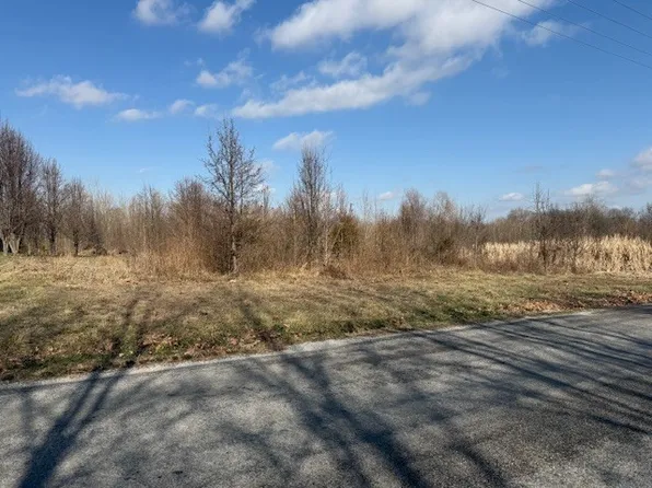 0 Lavern Rd, De Soto, IL 62924